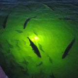 18W 45W DC 12V Green White Blue Yellow IP68 Aluminum High Power LED Fish Attracting Bait Submersible Underwater Fishing Light